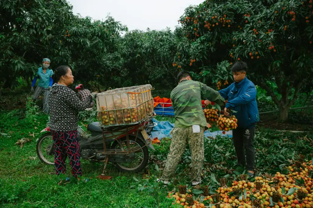 凤城瑞星炭素石墨电极产品技术参数与性能优势详解